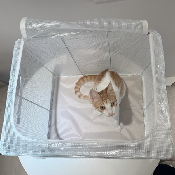 寵物氧氣箱(購買)